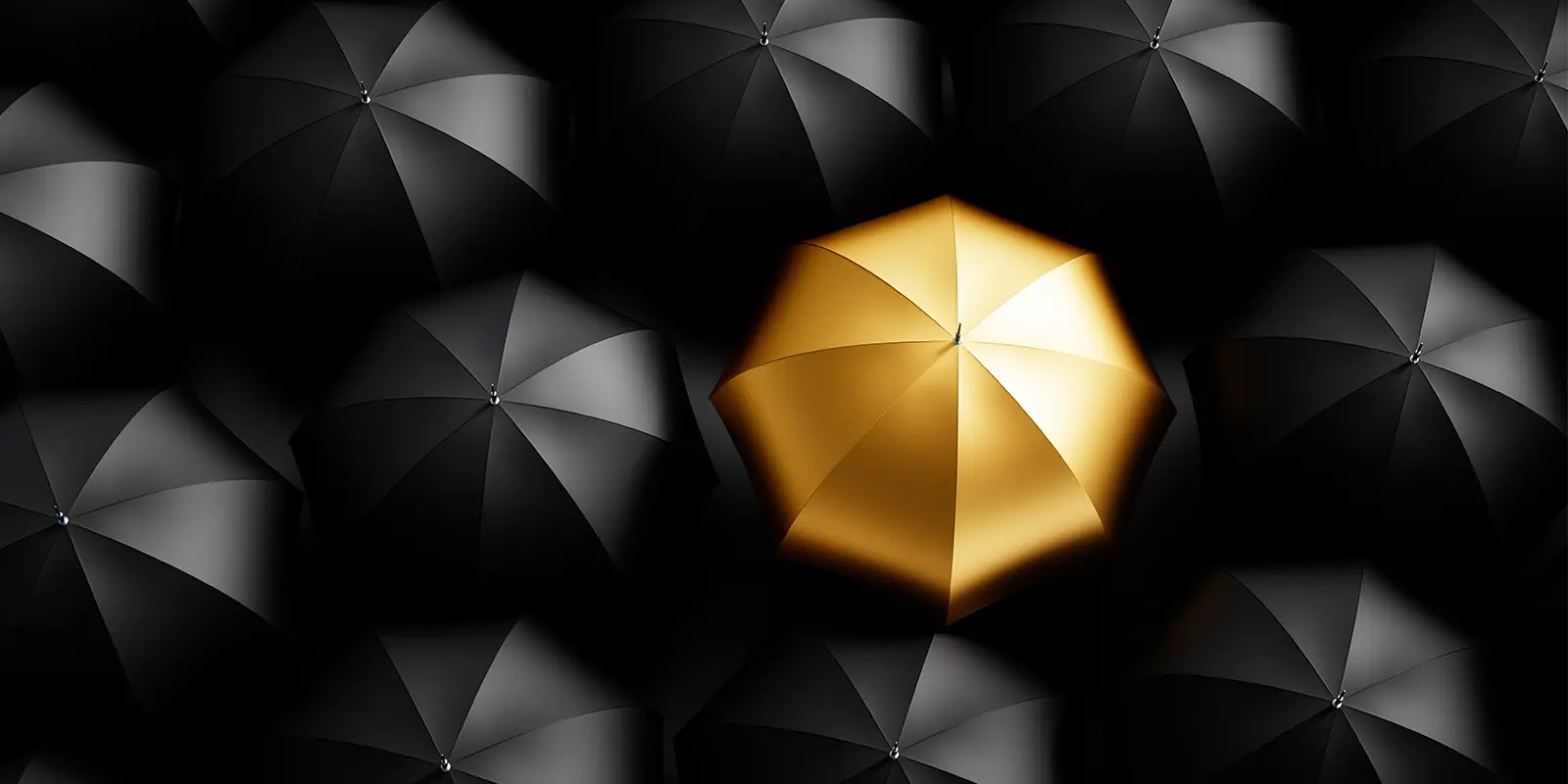 Search Engine Optimisation (SEO)