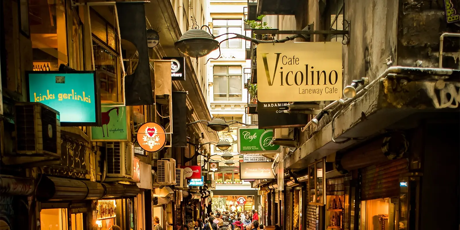 Website Design & Development